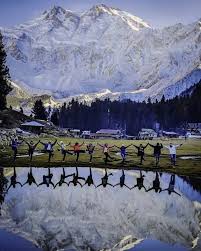 Fairy Meadows